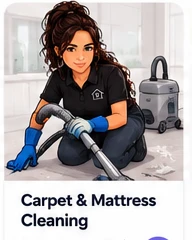 Vanguard illustrated carpet and mattress cleaning service