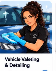 Vanguard illustrated vehicle valeting and detailing service