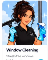 Vanguard illustrated window cleaning service